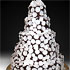 Wedding Cake with White Petals