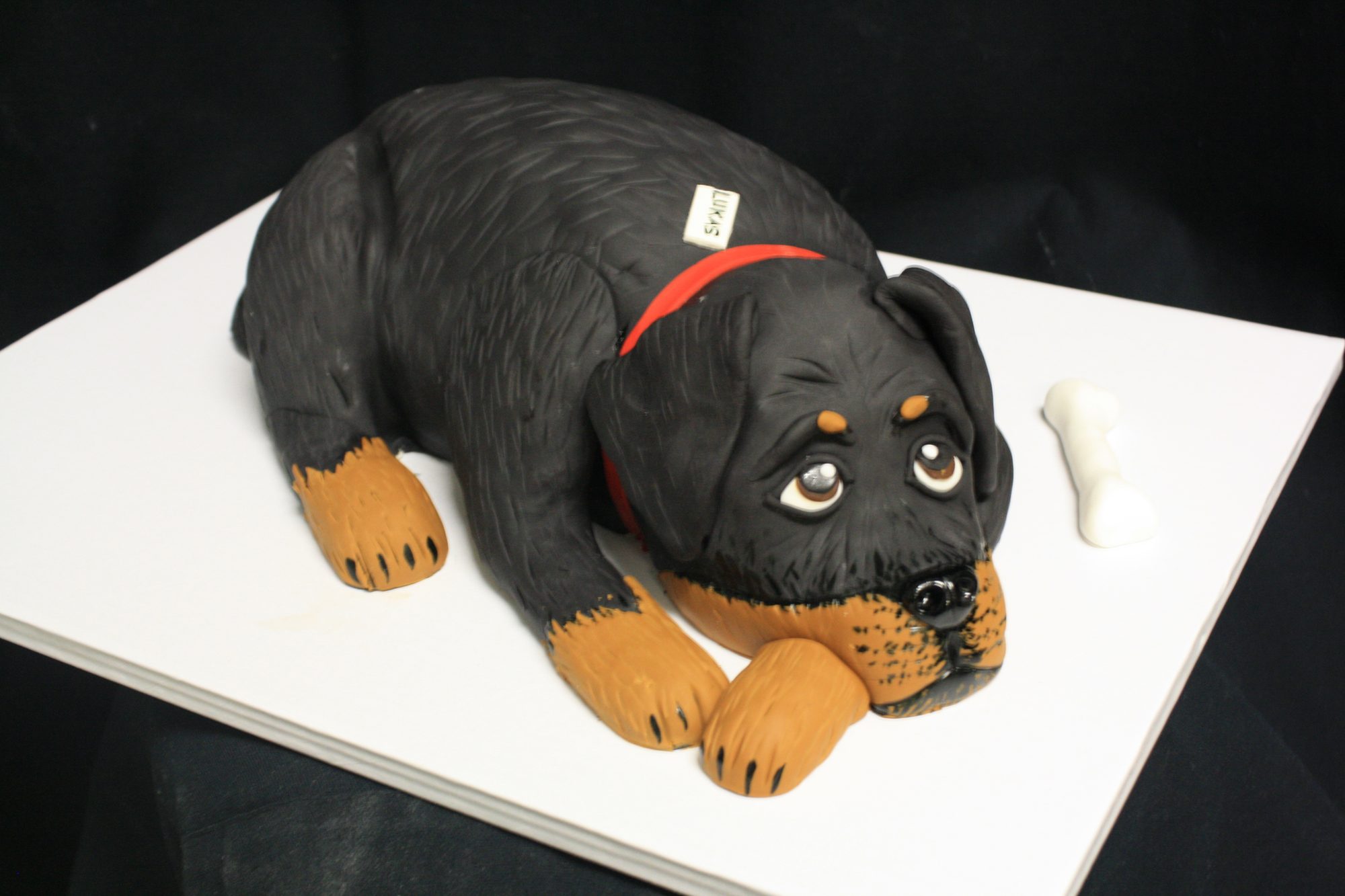 Sculpted rottweiler puppy cake